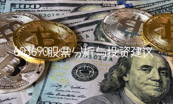 603690股票分析与投资建议(1)