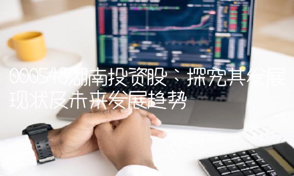 000548湖南投资股：探究其发展现状及未来发展趋势