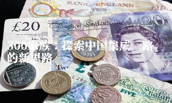 300家族：探索中国集成电路产业的新思路