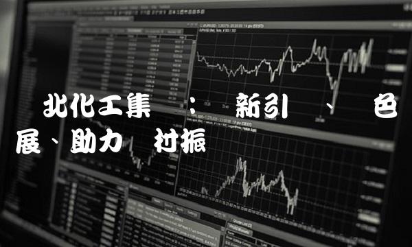 鲁北化工集团：创新引领、绿色发展、助力乡村振兴