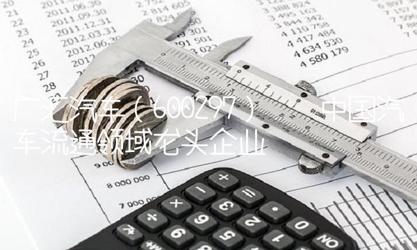 广汇汽车（600297）——中国汽车流通领域龙头企业