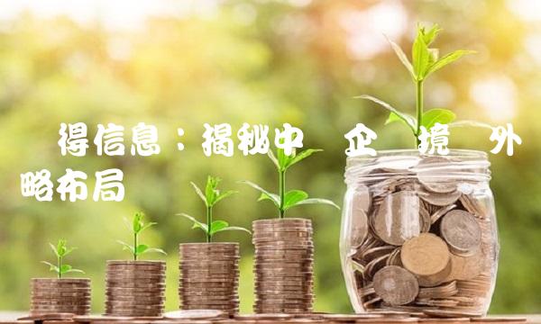 汉得信息：揭秘中国企业境内外战略布局