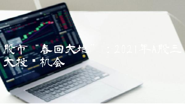 股市春回大地：2021年A股三大投资机会