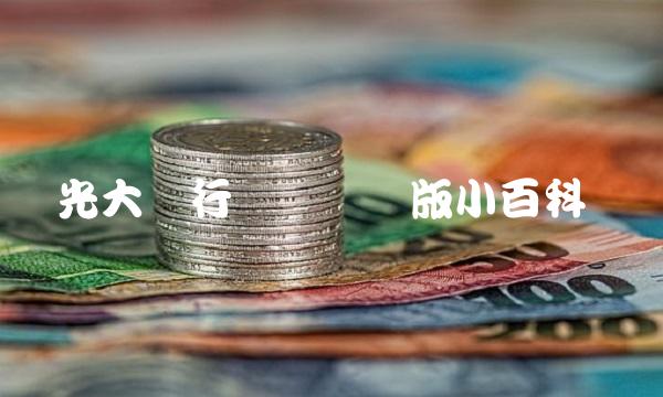 光大银行网银专业版小百科