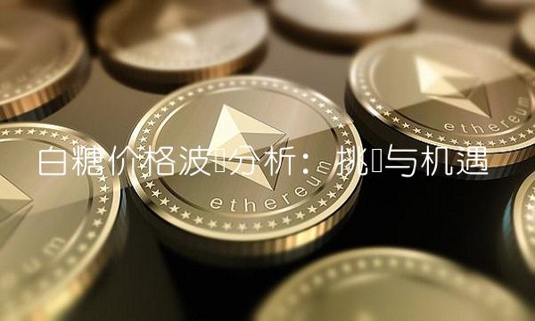 白糖价格波动分析：挑战与机遇