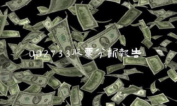 002733股票分析报告(1)