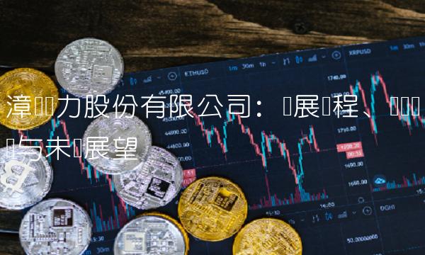 漳泽电力股份有限公司：发展历程、经营业绩与未来展望