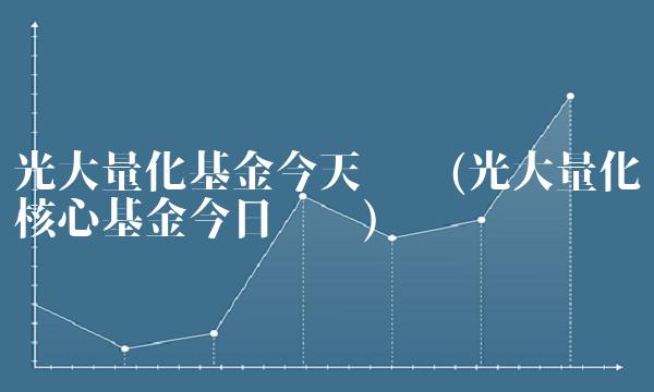 光大量化基金今天净值(光大量化核心基金今日净值)