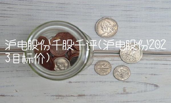 沪电股份千股千评(沪电股份2023目标价)