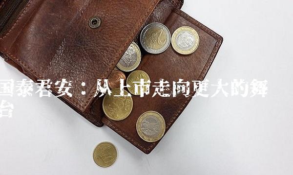 国泰君安：从上市走向更大的舞台