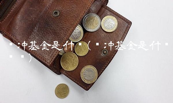 对冲基金是什么(对冲基金是什么专业)
