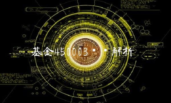 基金450003详细解析