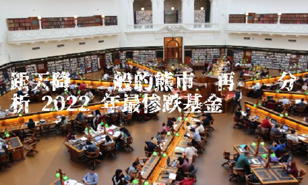跟天降灾难般的熊市说再见——分析 2022 年最惨跌基金