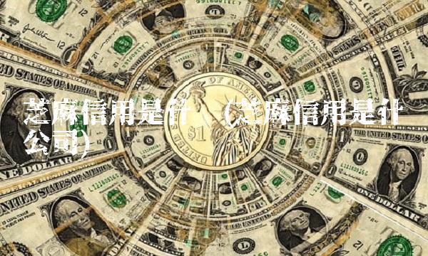 芝麻信用是什么(芝麻信用是什么公司)