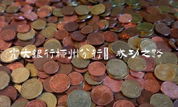 光大银行柳州分行 成功之路