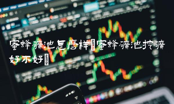 蜜蜂矿池怎么样(蜜蜂矿池挖矿好不好)