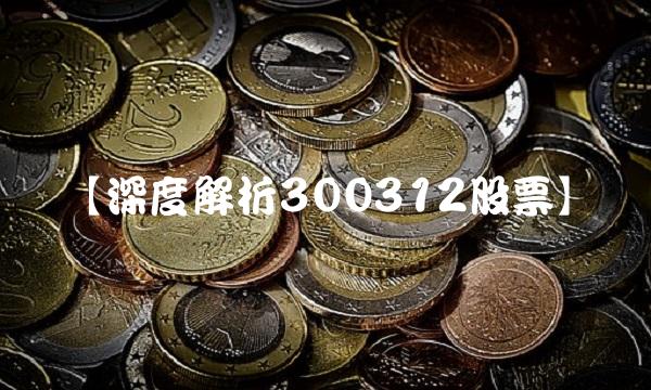 【深度解析300312股票】