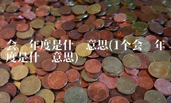 会计年度是什么意思(1个会计年度是什么意思)