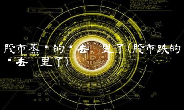 股市蒸发的钱去哪里了(股市跌的钱去哪里了)
