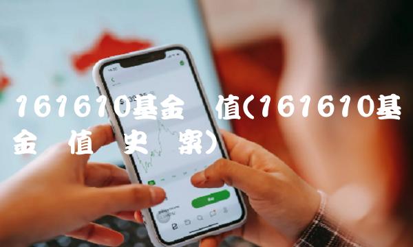 161610基金净值(161610基金净值历史档案)