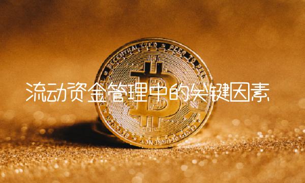 流动资金管理中的关键因素