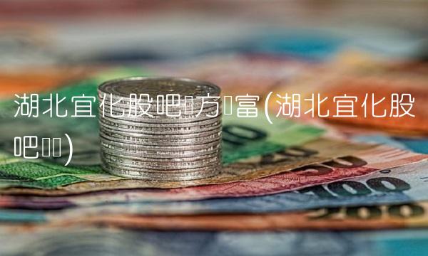 湖北宜化股吧东方财富(湖北宜化股吧论坛)