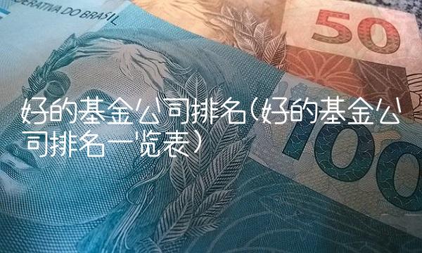 好的基金公司排名(好的基金公司排名一览表)