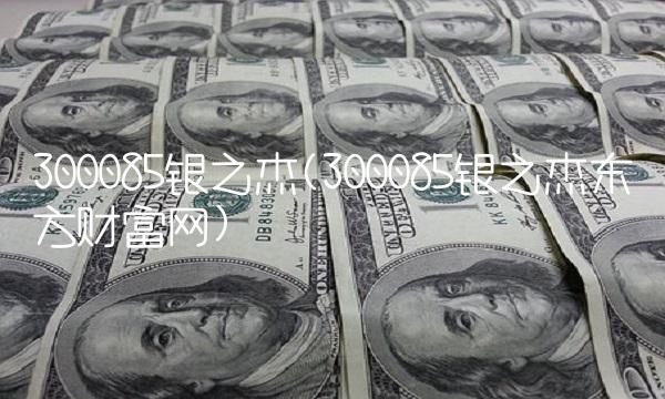 300085银之杰(300085银之杰东方财富网)