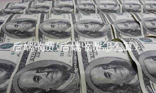 后端收费(后端收费怎么算)
