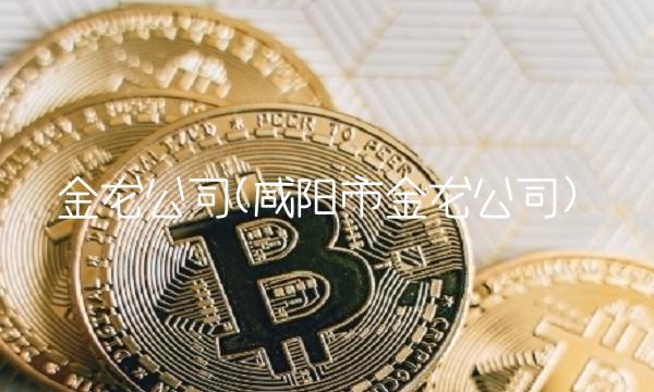 金龙公司(咸阳市金龙公司)