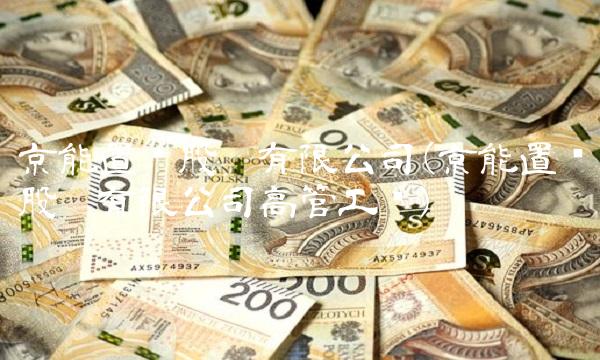 京能置业股份有限公司(京能置业股份有限公司高管工资)