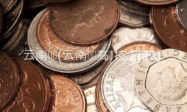 云南铜业(云南铜业高级技工学校)
