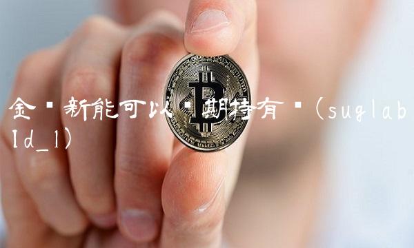 金开新能可以长期持有吗(suglabId_1)