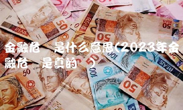 金融危机是什么意思(2023年金融危机是真的吗)