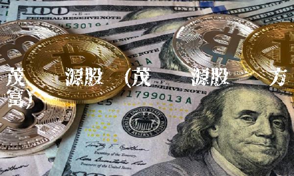 茂硕电源股吧(茂硕电源股吧东方财富)(2)