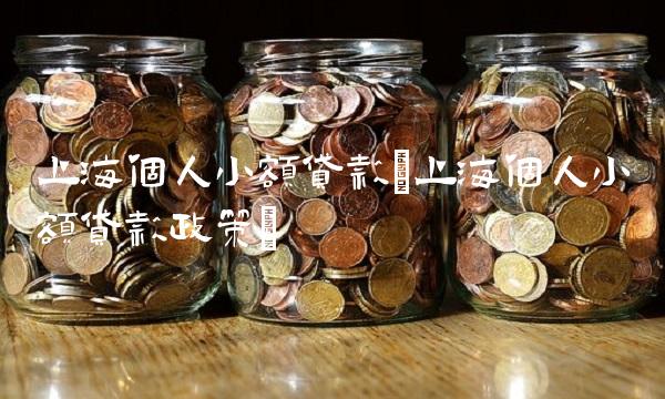 上海个人小额贷款(上海个人小额贷款政策)