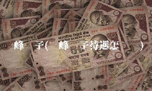 铜峰电子(铜峰电子待遇怎么样)(1)