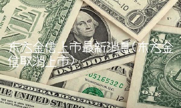 东方金信上市最新消息(东方金信取消上市)