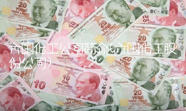 六国化工公司简介(六国化工股份公司) 六国化工公司简介(六国化工股份公司)