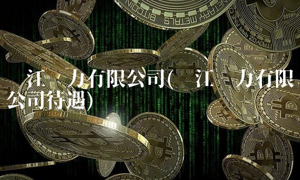 长江电力有限公司(长江电力有限公司待遇)
