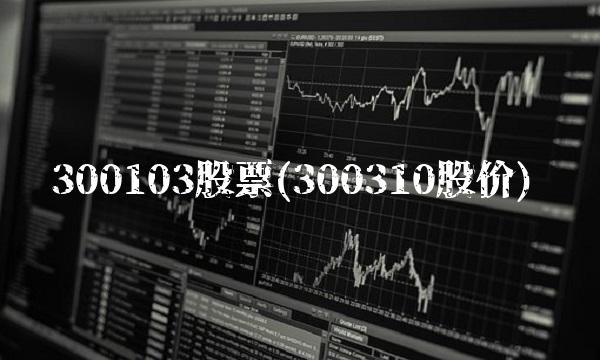 300103股票(300310股价)