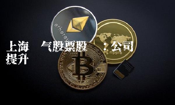 上海电气股票股吧：公司业绩稳步提升