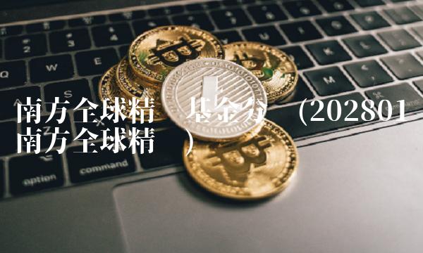 南方全球精选基金分红(202801南方全球精选)