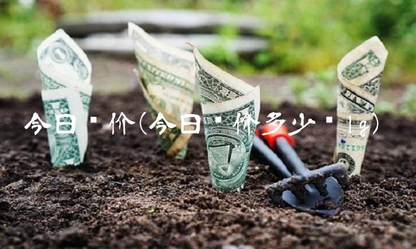 今日银价(今日银价多少钱1g)