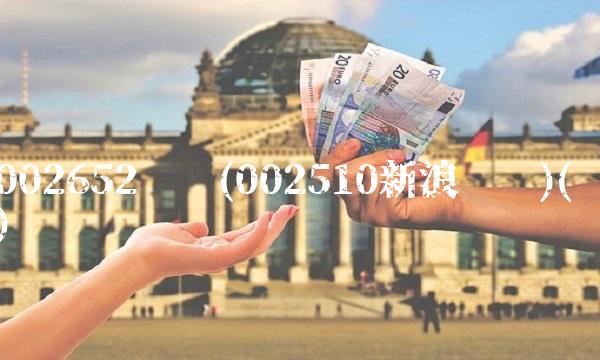 002652财报(002510新浪财经)()
