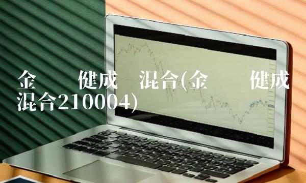 金鹰稳健成长混合(金鹰稳健成长混合210004)