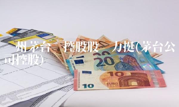贵州茅台获控股股东力挺(茅台公司控股)