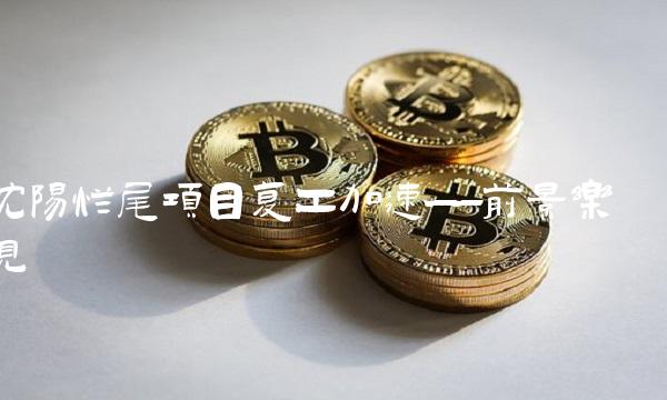 沈阳烂尾项目复工加速——前景乐观