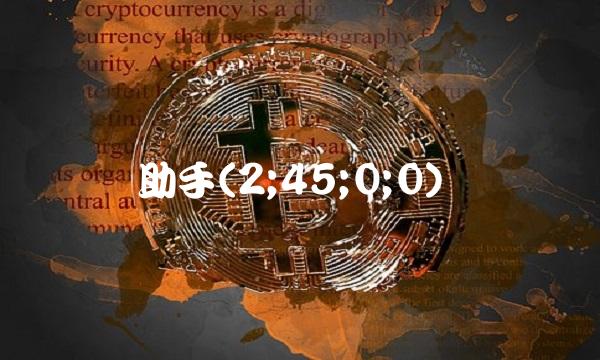 助手(2;45;0;0)