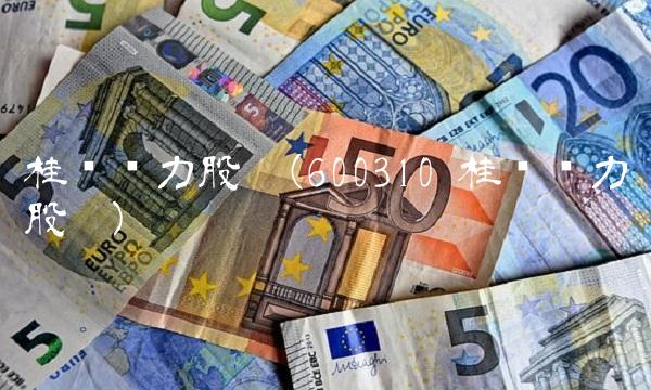 桂东电力股吧(600310 桂东电力股吧)